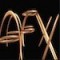 Mozart Concerto for Flute Harp K 299